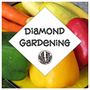 Diamond Gardening